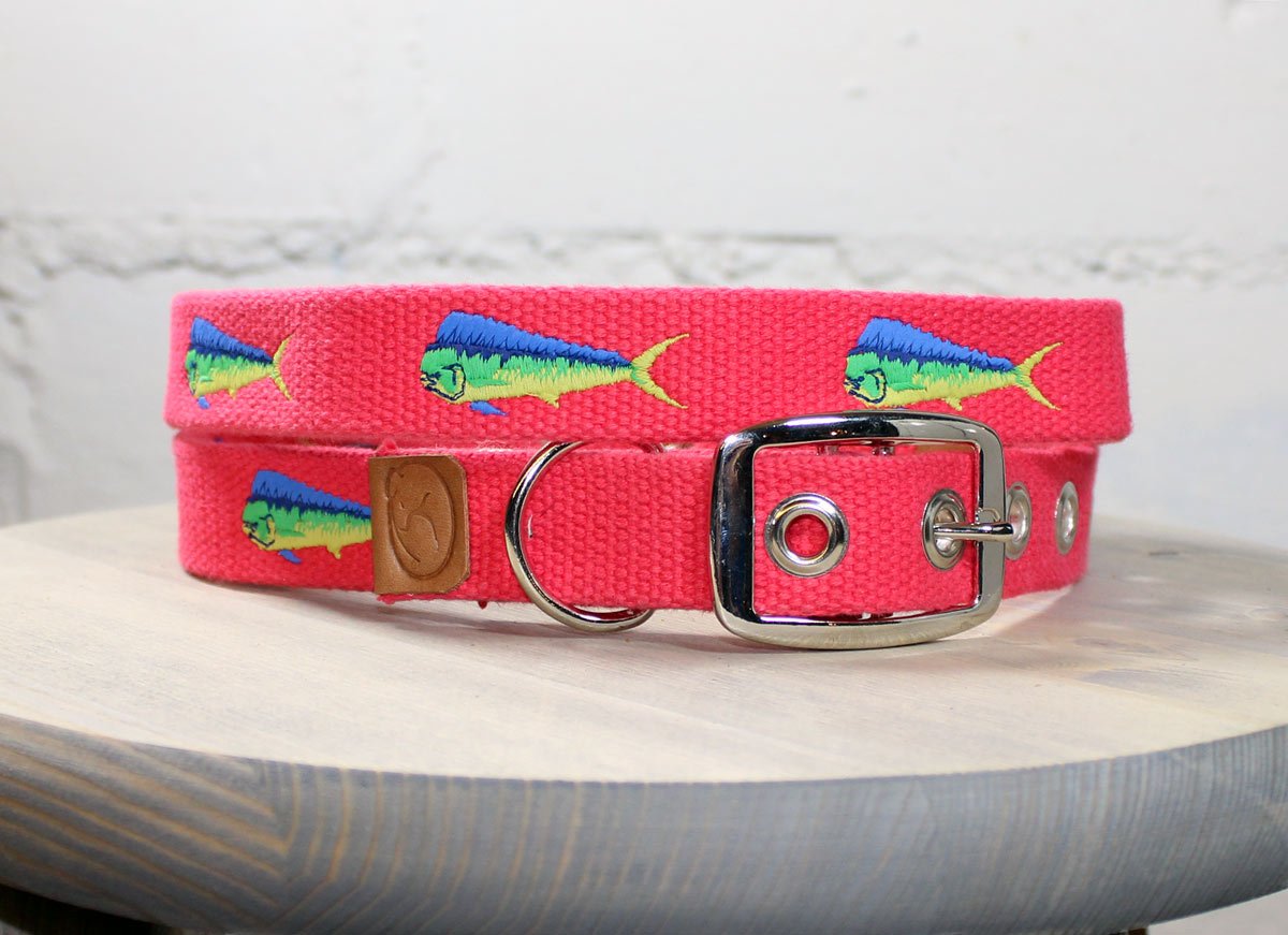 Mahi Mahi Dog Collar sleepy pup B2B